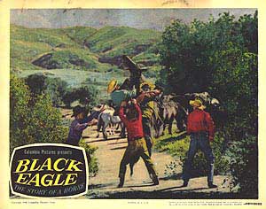 Black Eagle Online Hot Sale