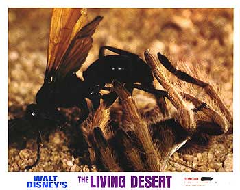 Living Desert Vanishing Prairie on Sale