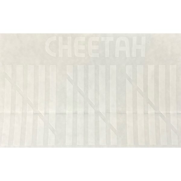 AeroTech Cheetah™ Decal Sheet - 18016 For Cheap